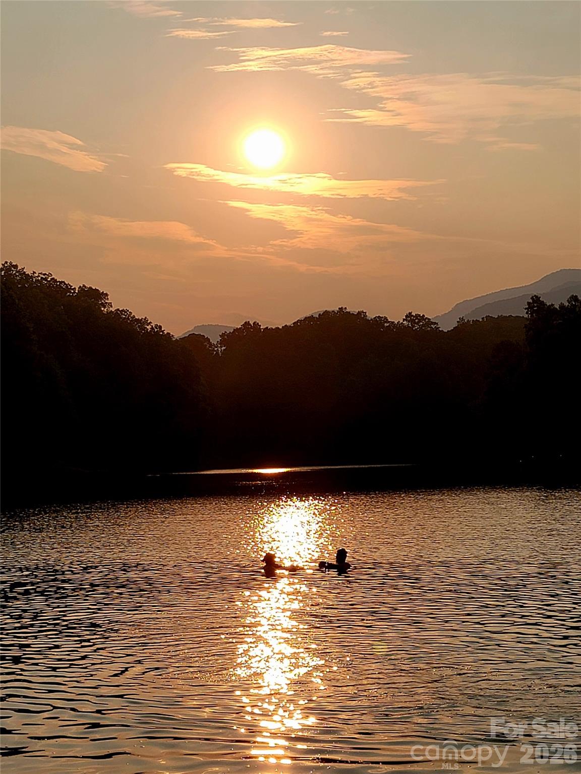 1015 Rainbow Circle Lake Lure NC 28746