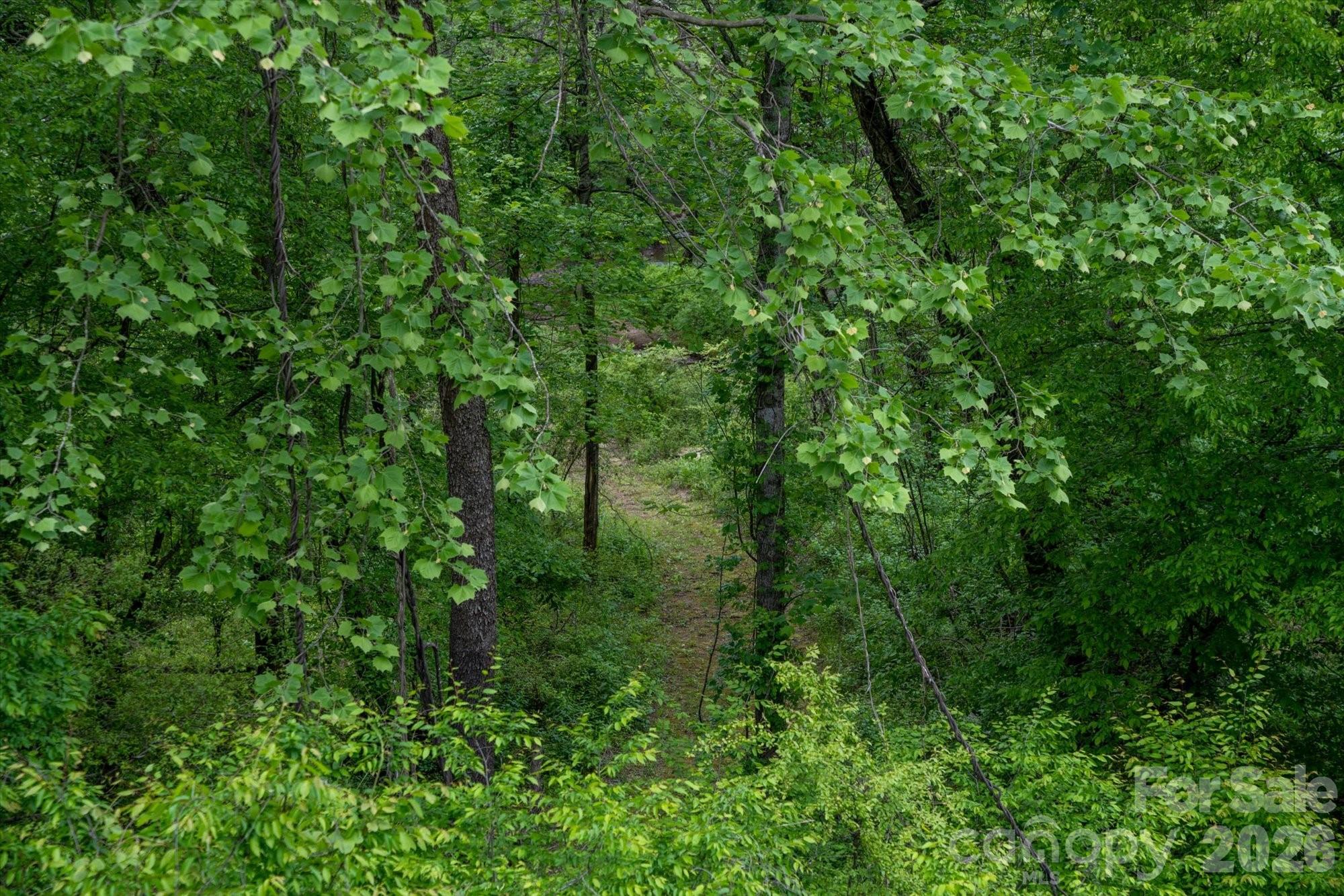 1015 Rainbow Circle Lake Lure NC 28746