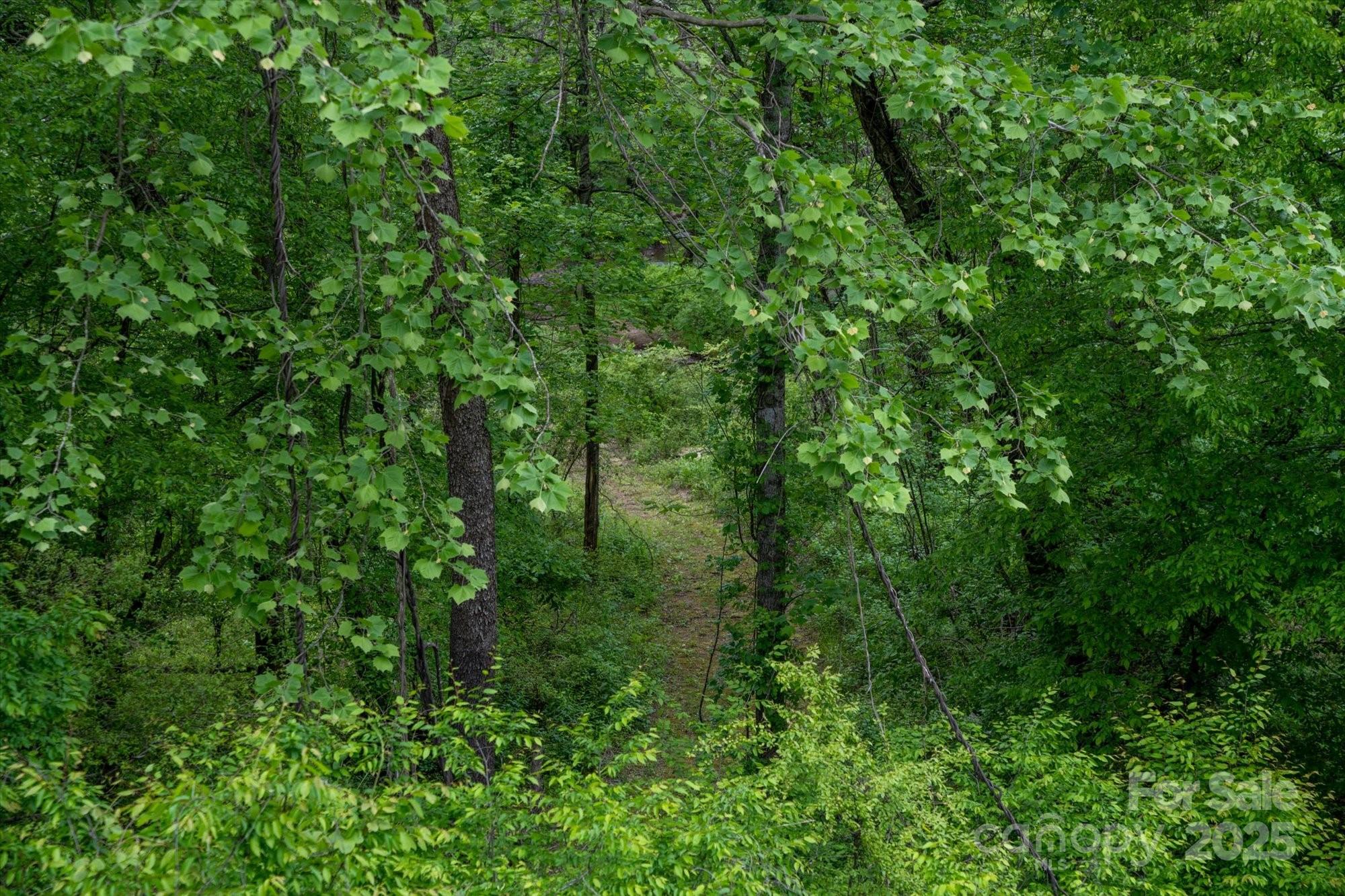 1015 Rainbow Circle Lake Lure NC 28746