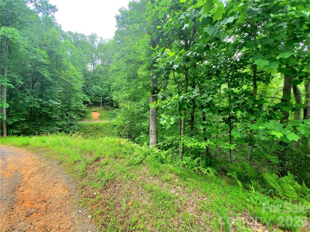 1015 Rainbow Circle Lake Lure NC 28746