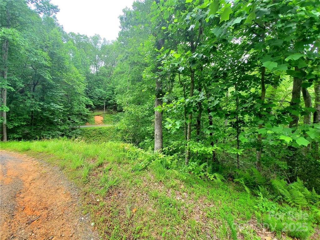 1015 Rainbow Circle Lake Lure NC 28746