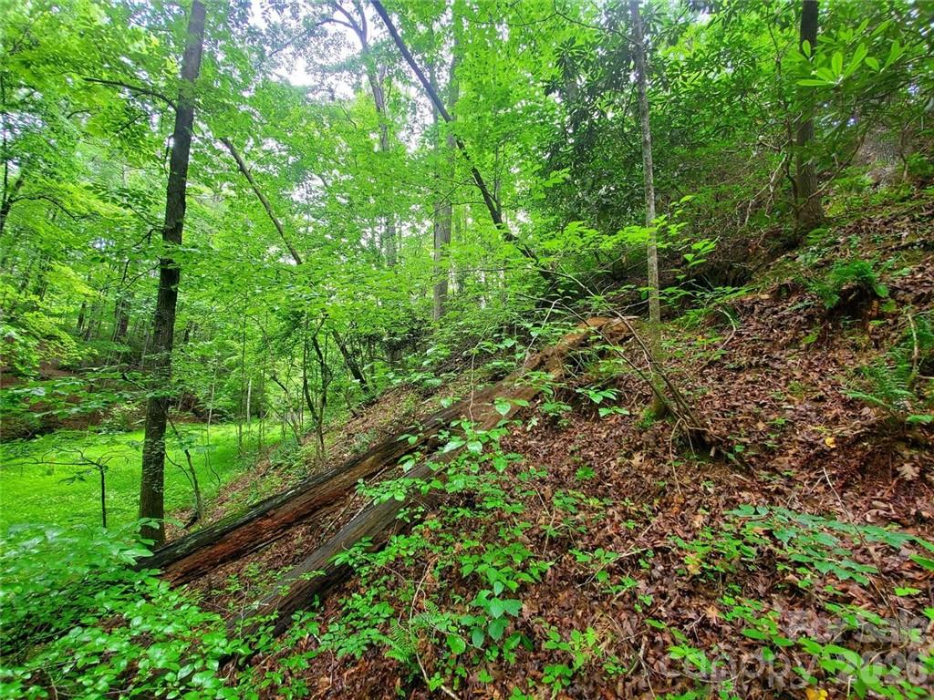 1015 Rainbow Circle Lake Lure NC 28746