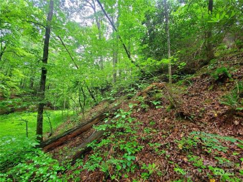 1015 Rainbow Circle Lake Lure NC 28746