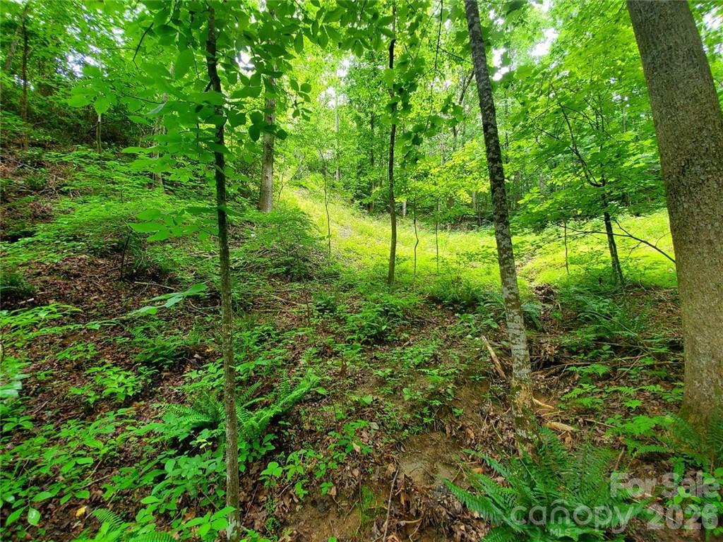 1015 Rainbow Circle Lake Lure NC 28746