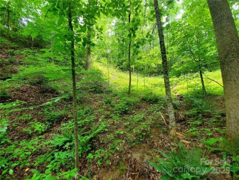 1015 Rainbow Circle Lake Lure NC 28746