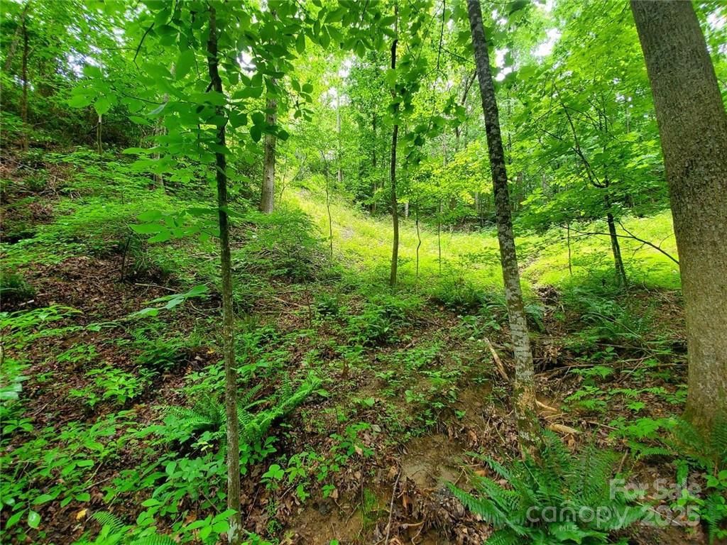 1015 Rainbow Circle Lake Lure NC 28746