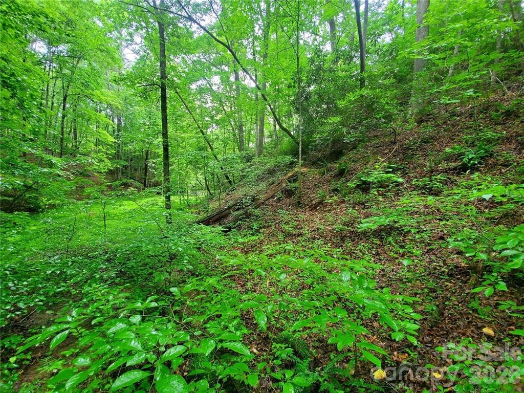 1015 Rainbow Circle Lake Lure NC 28746