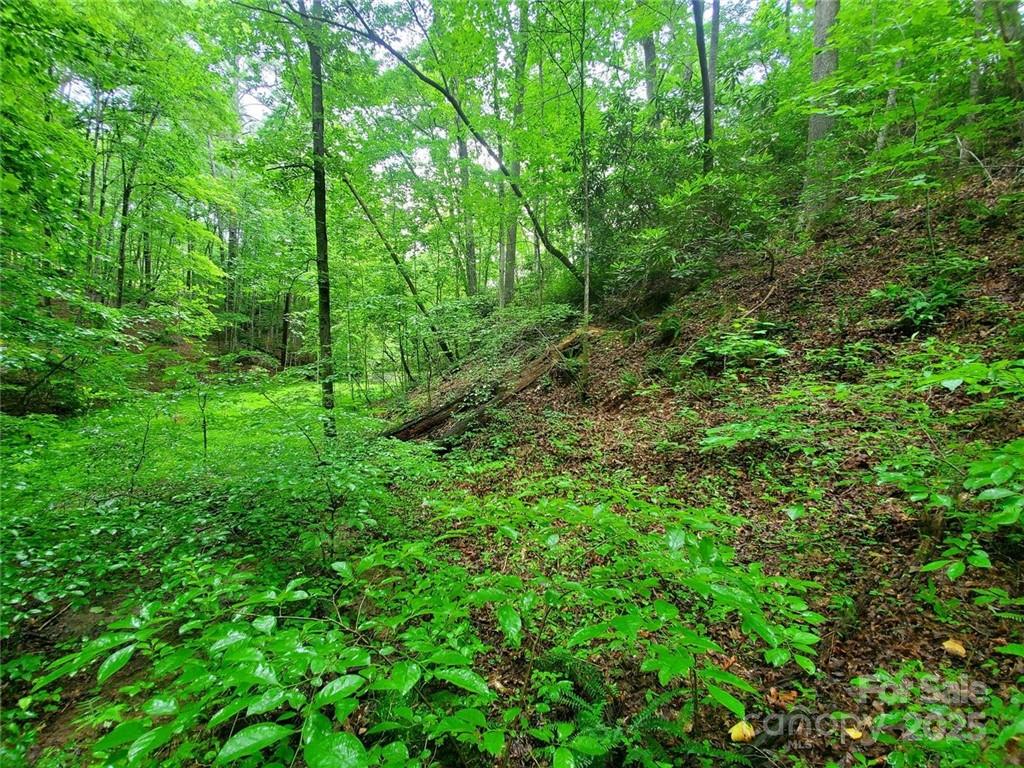 1015 Rainbow Circle Lake Lure NC 28746