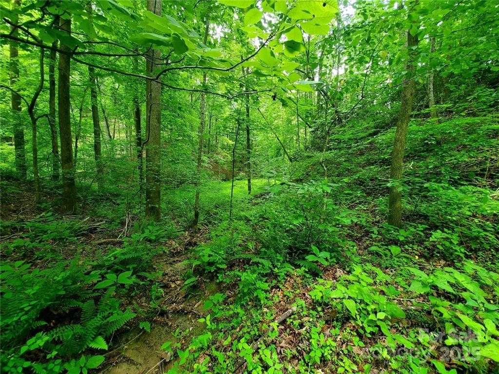 1015 Rainbow Circle Lake Lure NC 28746