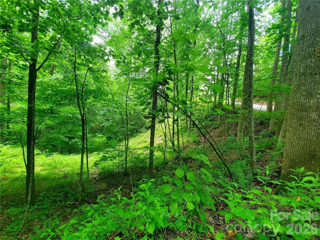 1015 Rainbow Circle Lake Lure NC 28746