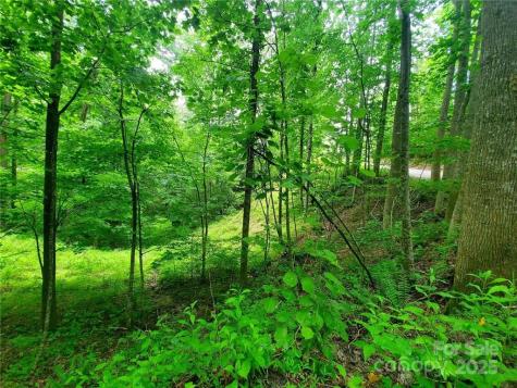 1015 Rainbow Circle Lake Lure NC 28746