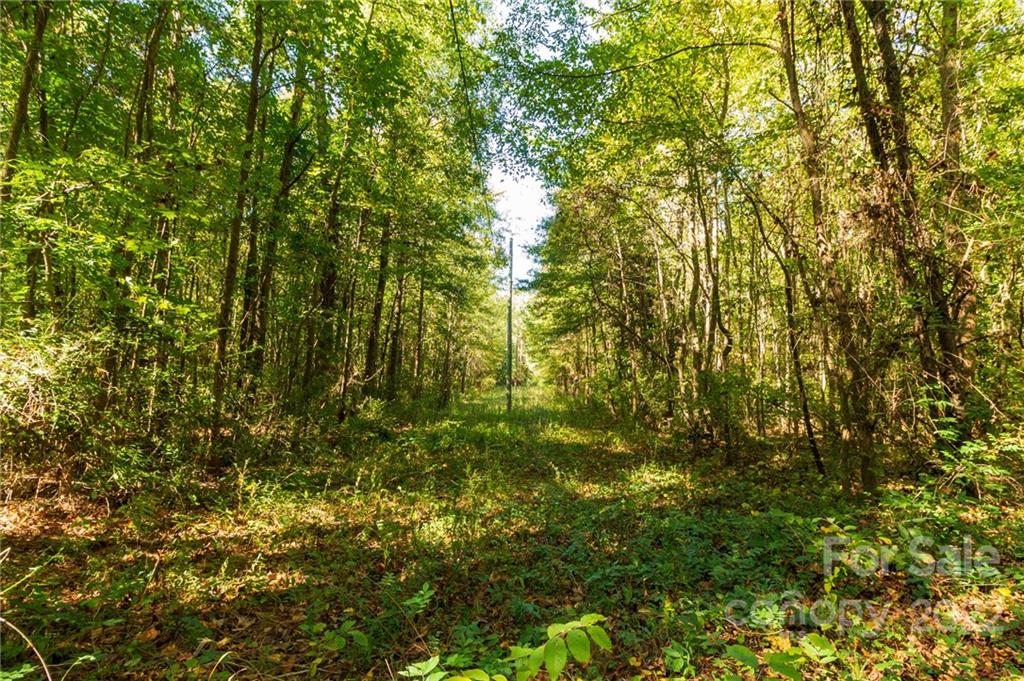 200 E Gold Street Kings Mountain NC 28086
