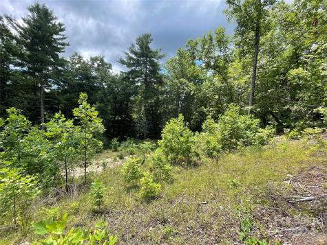 00 Willow Run Lane Zirconia NC 28790