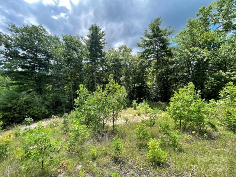 00 Willow Run Lane Zirconia NC 28790