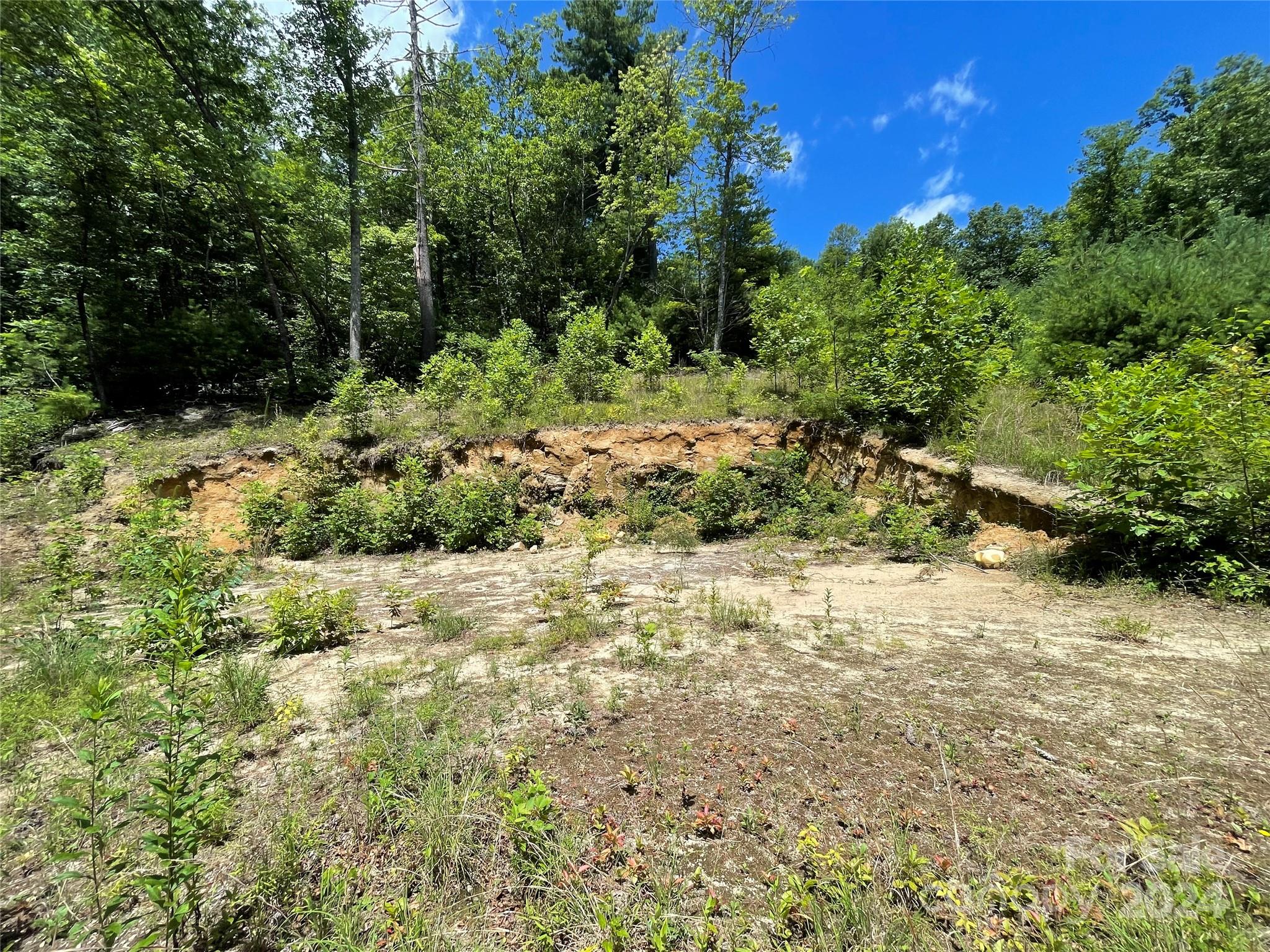 00 Willow Run Lane Zirconia NC 28790