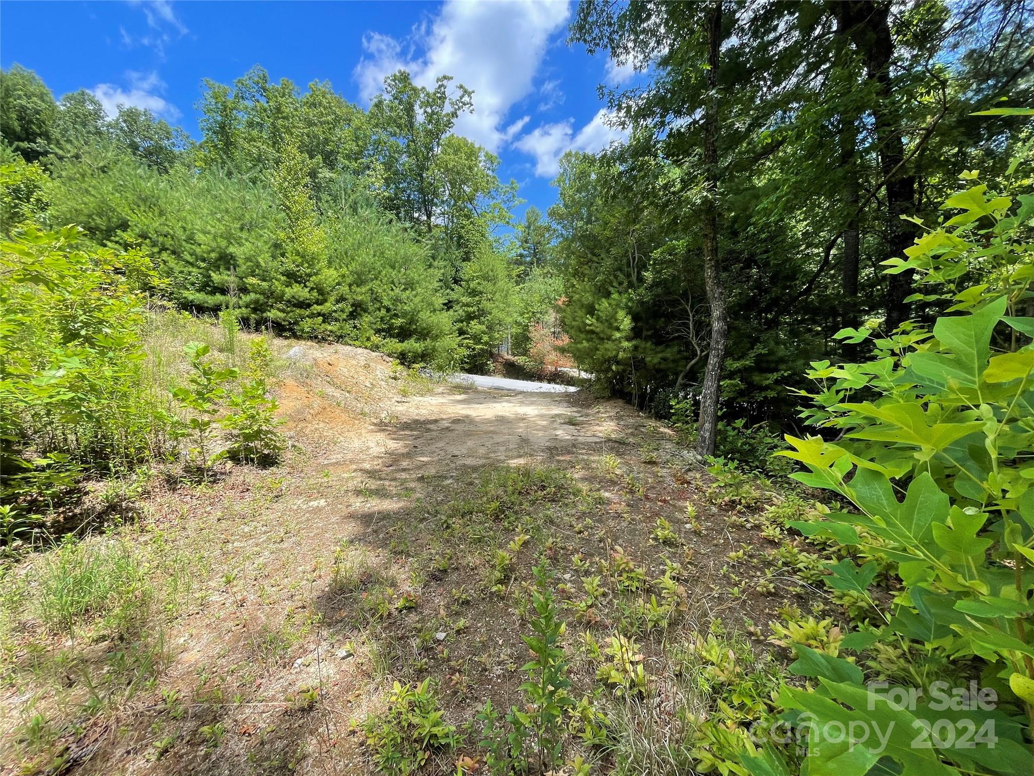 00 Willow Run Lane Zirconia NC 28790