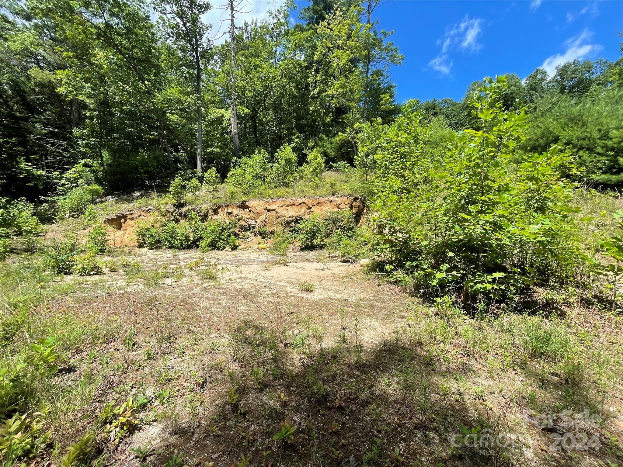00 Willow Run Lane Zirconia NC 28790