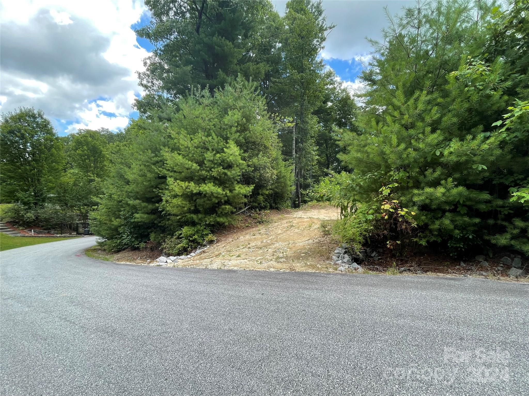 00 Willow Run Lane Zirconia NC 28790