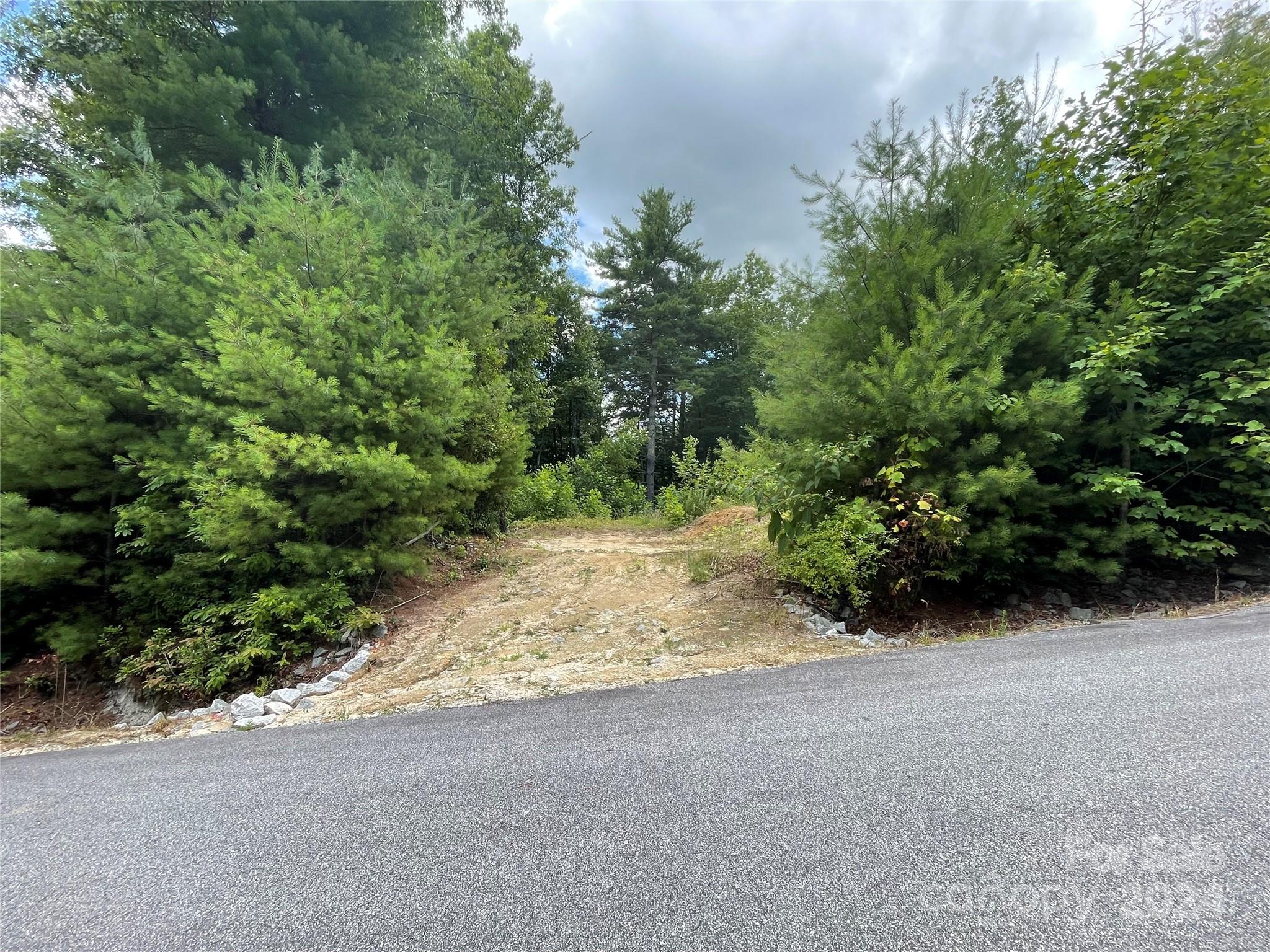 00 Willow Run Lane Zirconia NC 28790