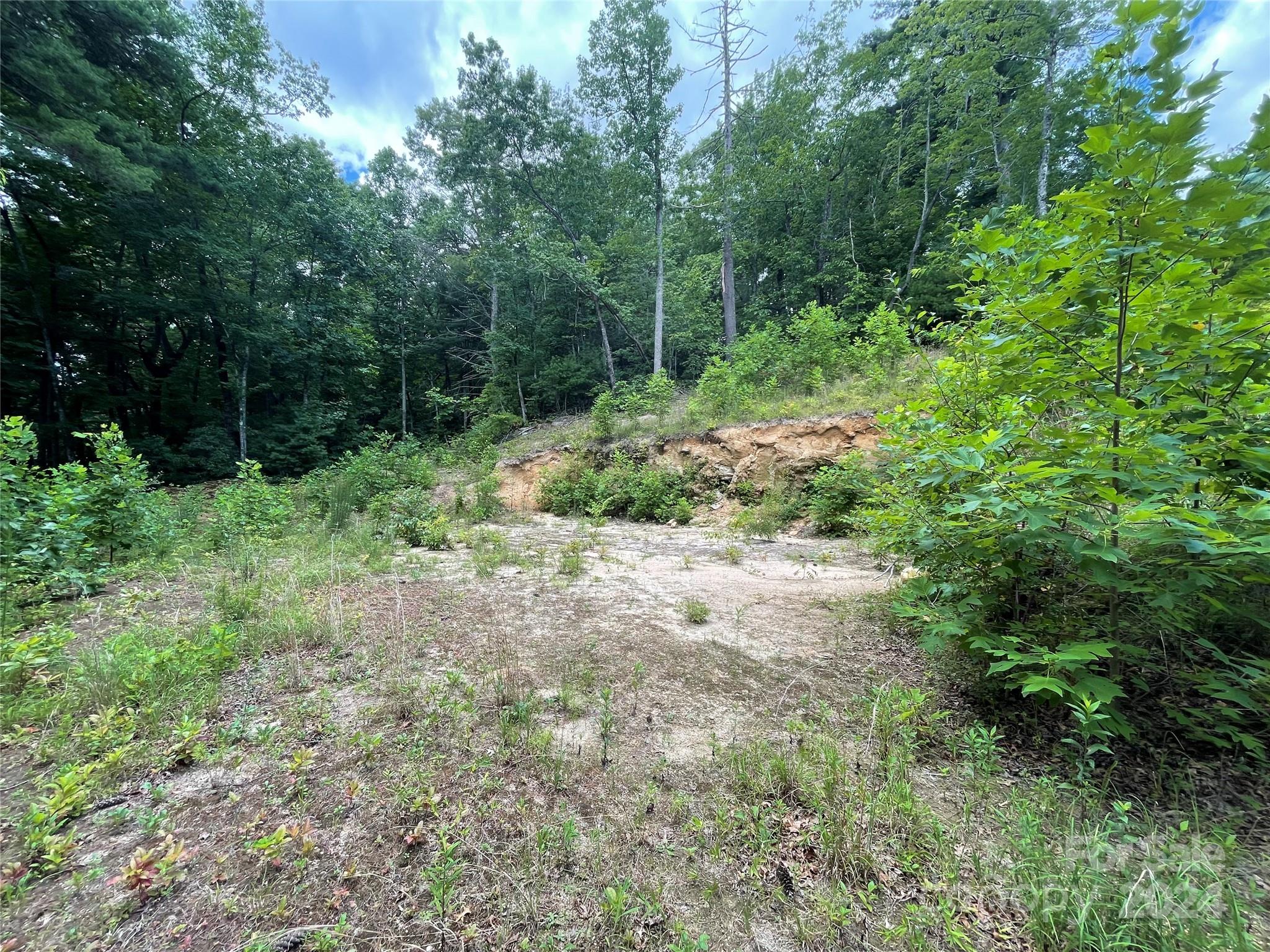 00 Willow Run Lane Zirconia NC 28790