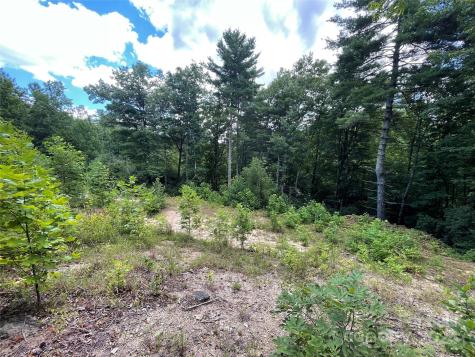 00 Willow Run Lane Zirconia NC 28790