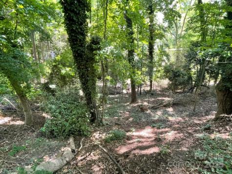 3007 Point Clear Drive Tega Cay SC 29708