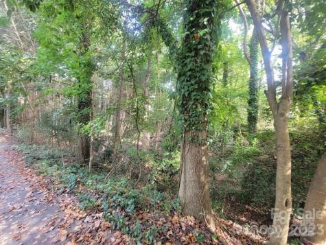 3007 Point Clear Drive Tega Cay SC 29708