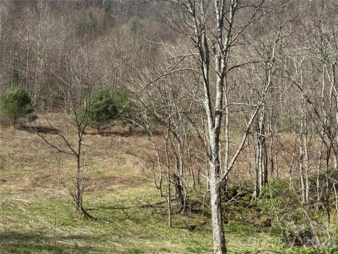 11288 Big Laurel Road Marshall NC 28753