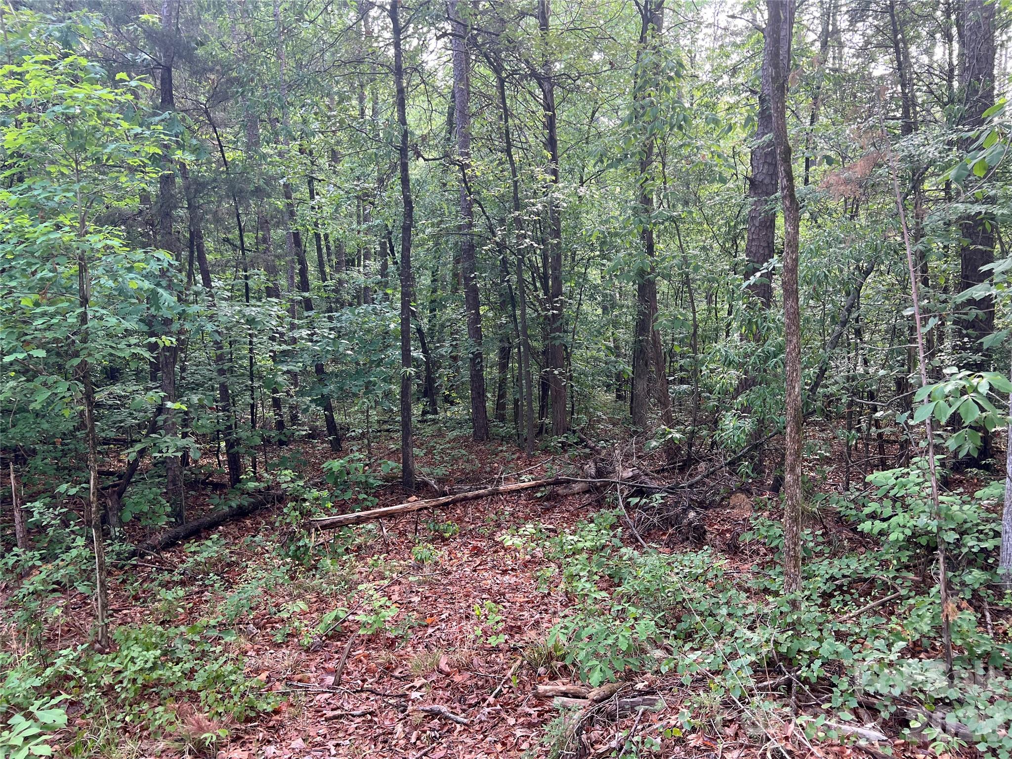 5620 Barrier Georgeville Road Mount Pleasant NC 28124