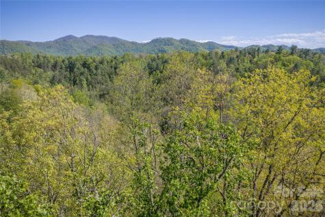 44 Marshbanks Ridge Weaverville NC 28787