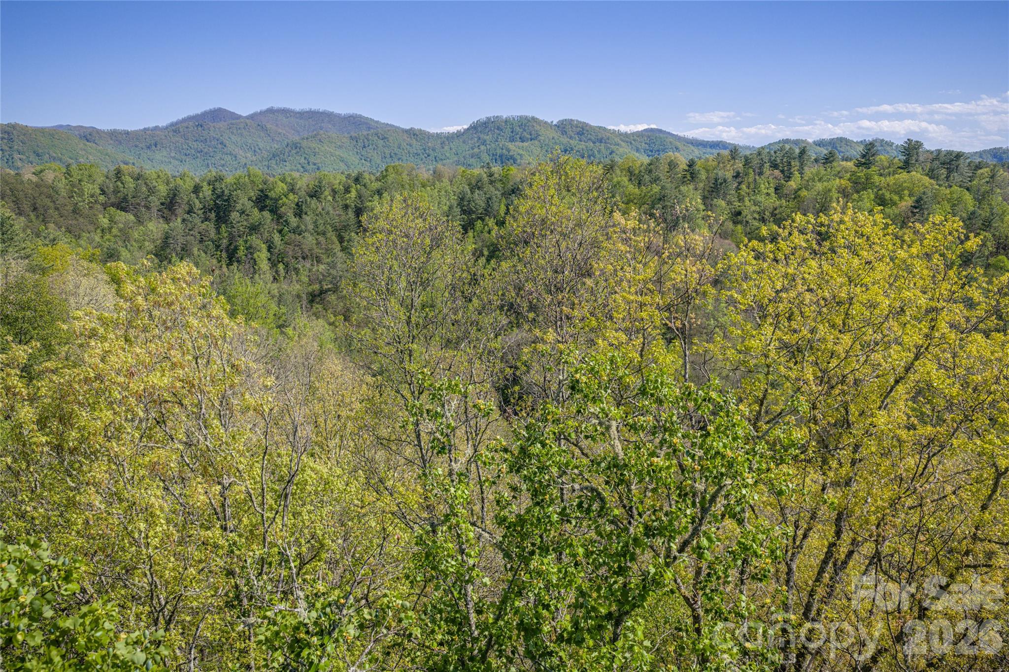 44 Marshbanks Ridge Weaverville NC 28787
