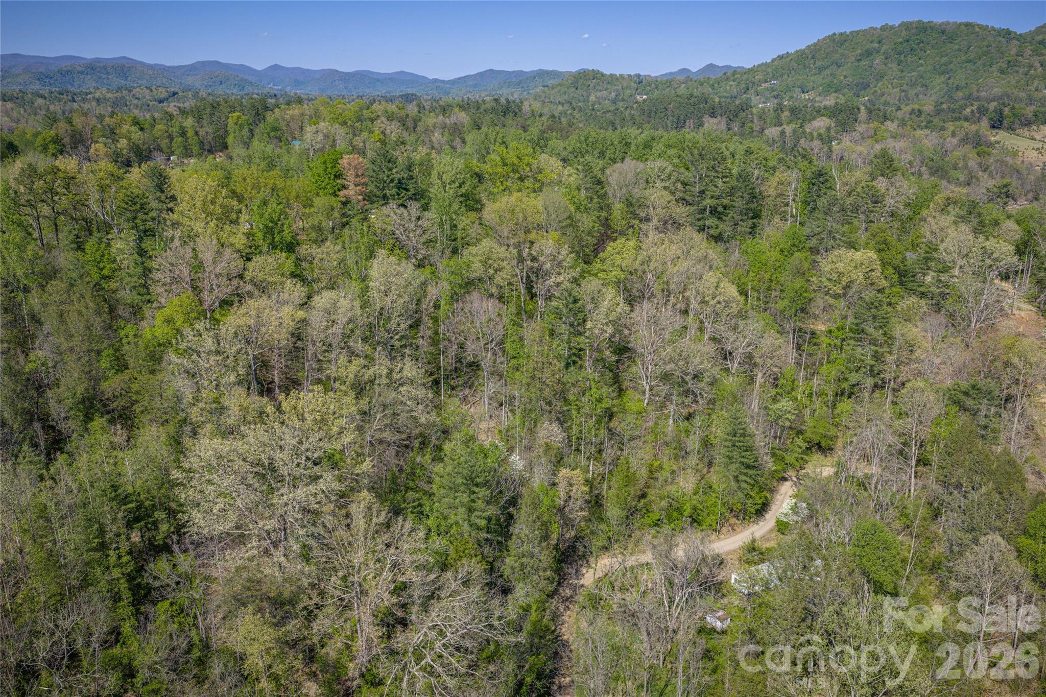 44 Marshbanks Ridge Weaverville NC 28787
