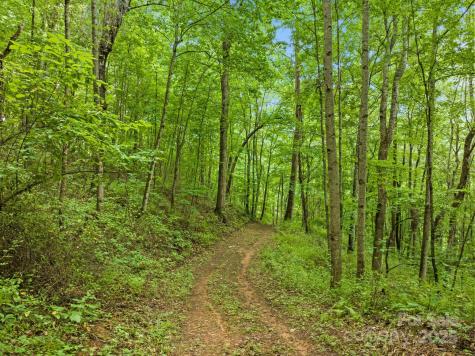 272 Owl Ridge Road Waynesville NC 28786