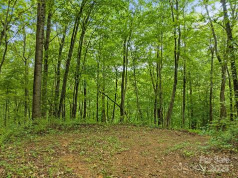 272 Owl Ridge Road Waynesville NC 28786