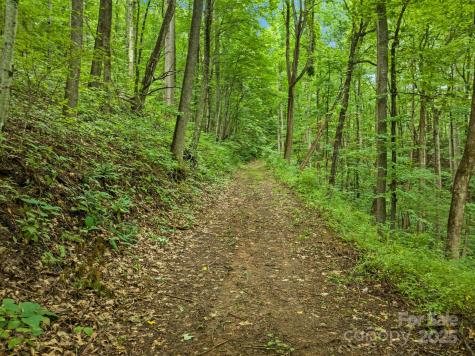 272 Owl Ridge Road Waynesville NC 28786