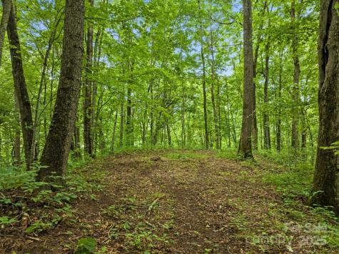 272 Owl Ridge Road Waynesville NC 28786