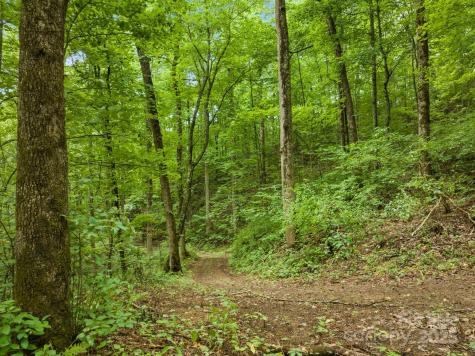 272 Owl Ridge Road Waynesville NC 28786