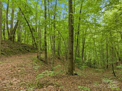 272 Owl Ridge Road Waynesville NC 28786