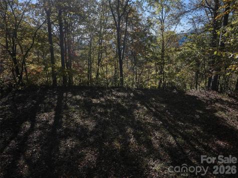 0 Glory Mountain Road Bryson City NC 28713
