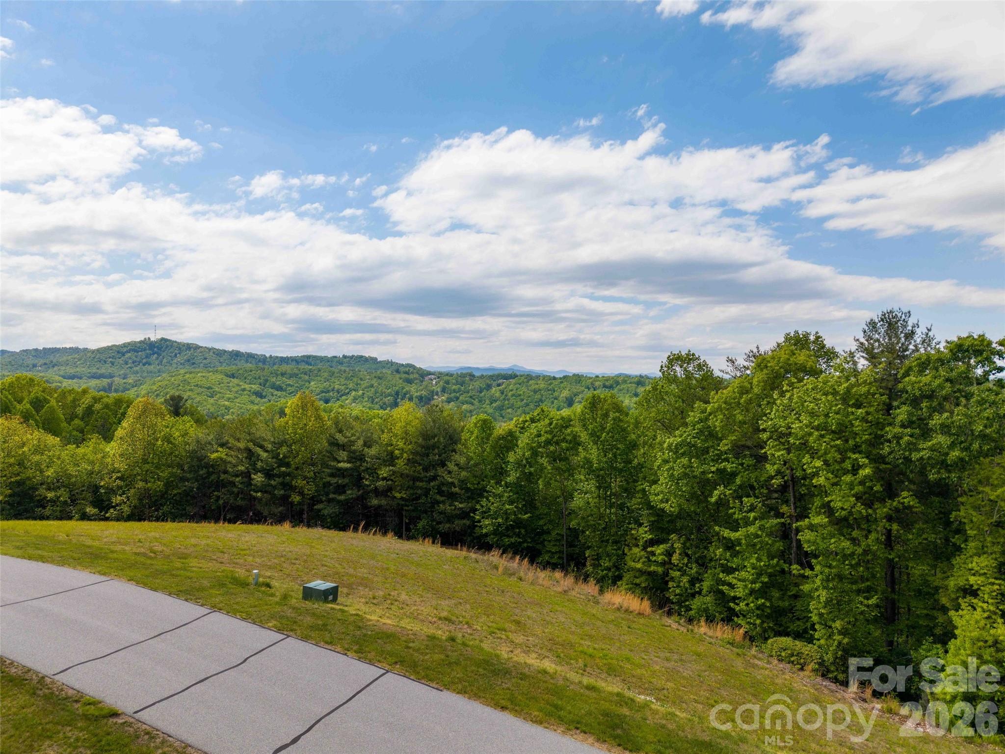 661 Whites Lake Boulevard Saluda NC 28773