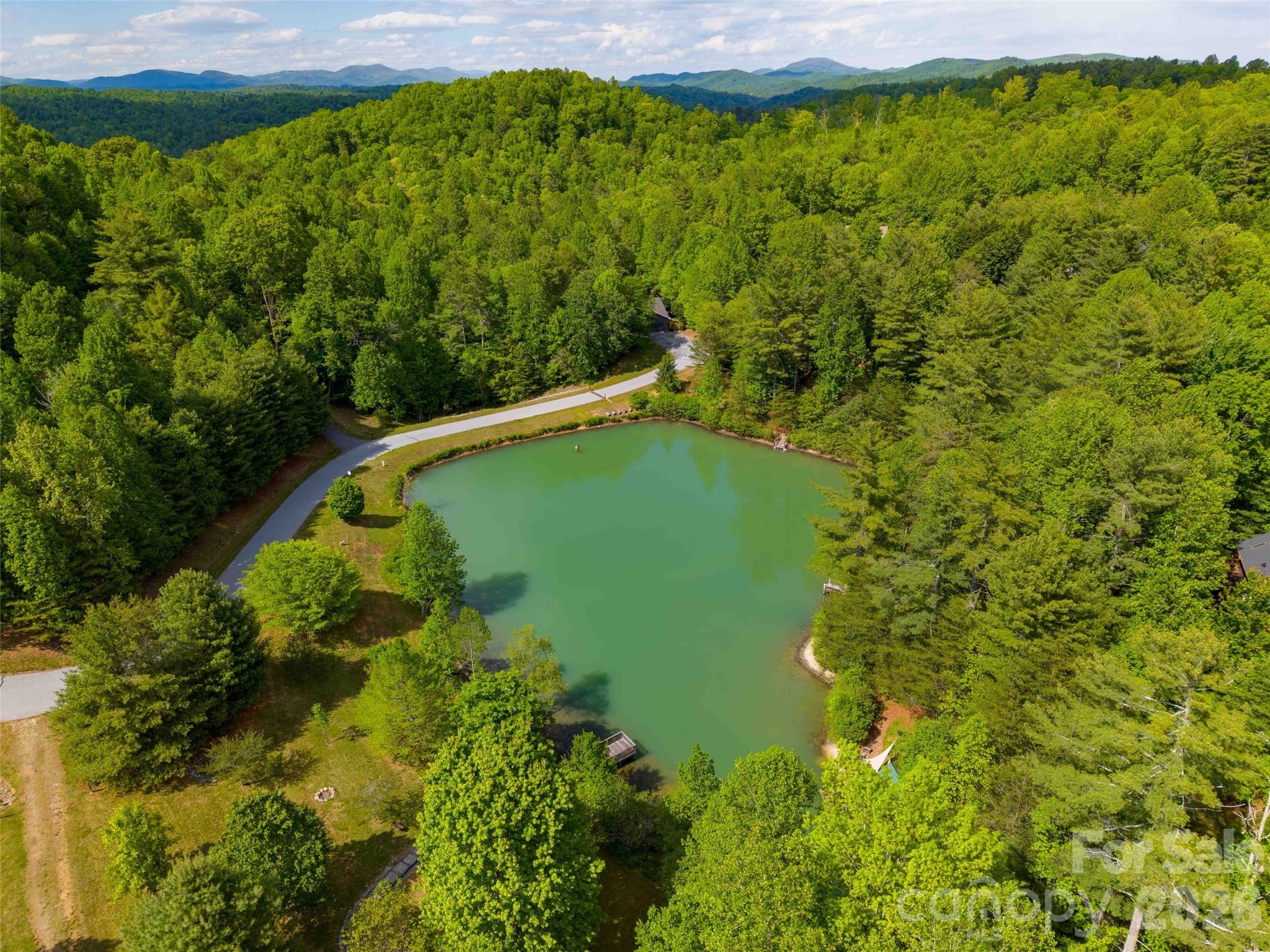 661 Whites Lake Boulevard Saluda NC 28773
