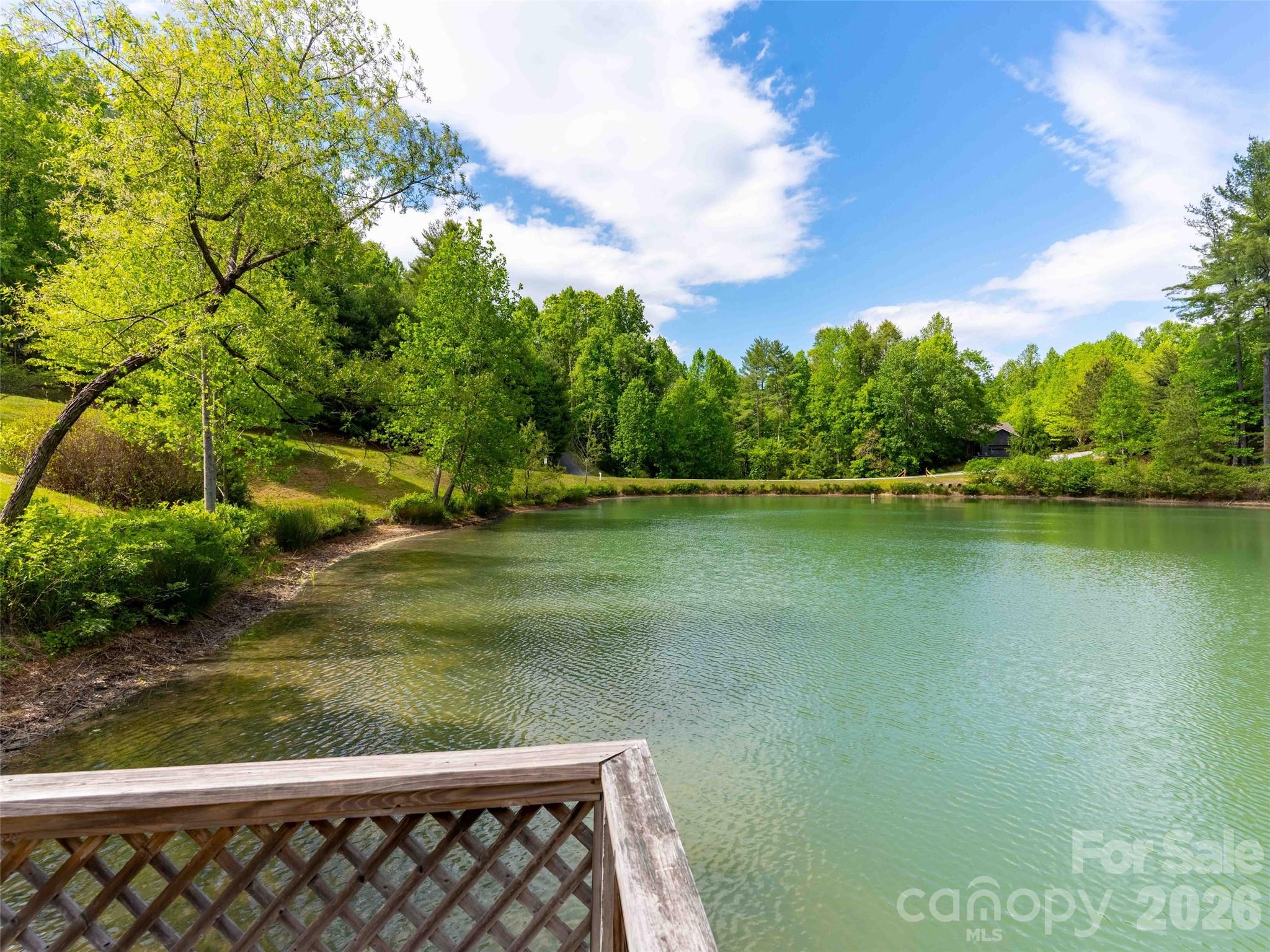661 Whites Lake Boulevard Saluda NC 28773