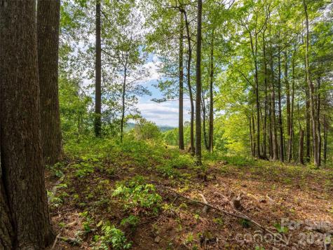 661 Whites Lake Boulevard Saluda NC 28773