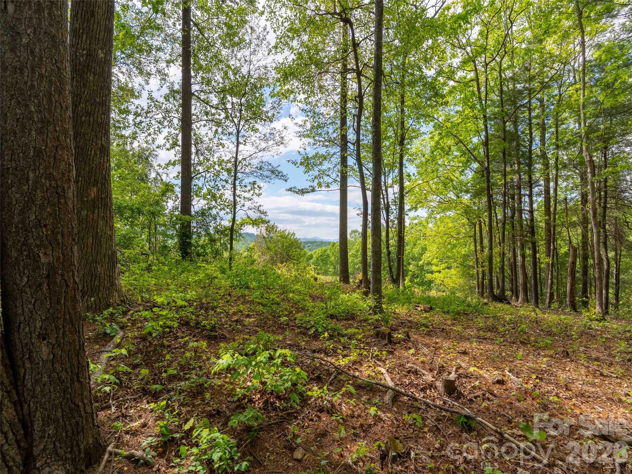 661 Whites Lake Boulevard Saluda NC 28773