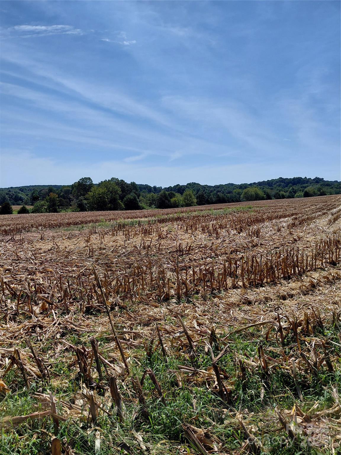 320 Howards Bridge Road Union Grove NC 28689