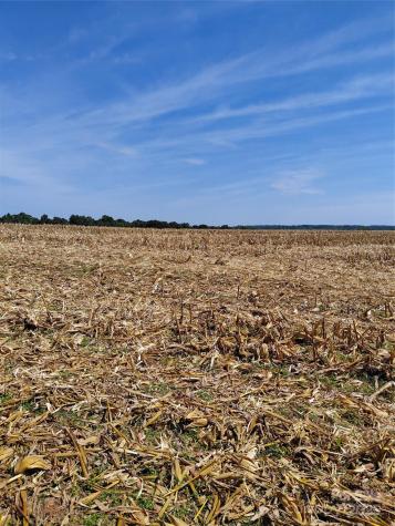 320 Howards Bridge Road Union Grove NC 28689