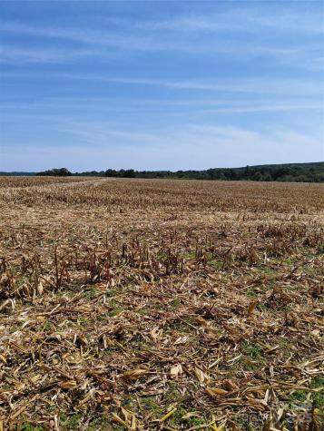 320 Howards Bridge Road Union Grove NC 28689