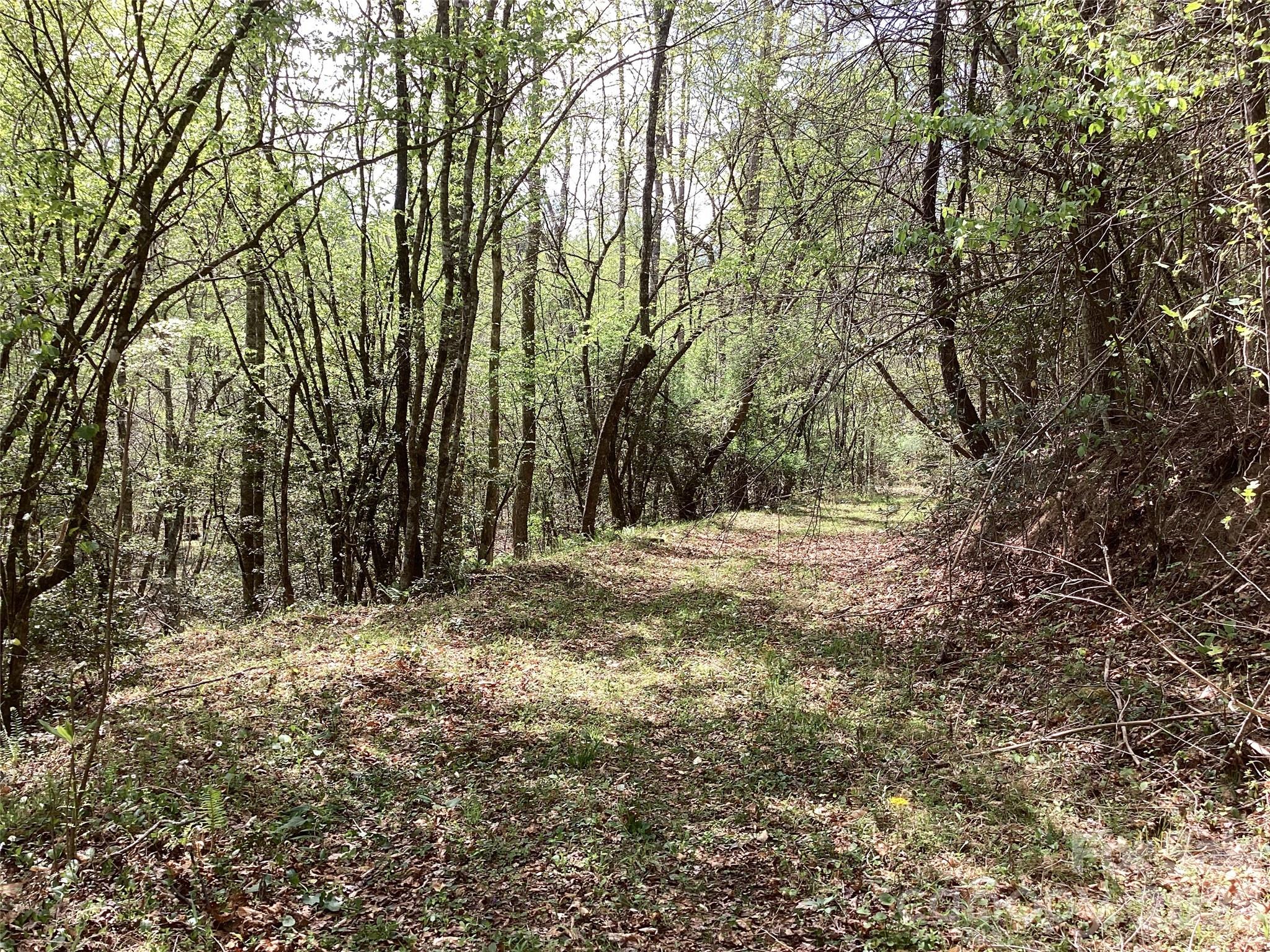 4017 Piney Road Morganton NC 28655