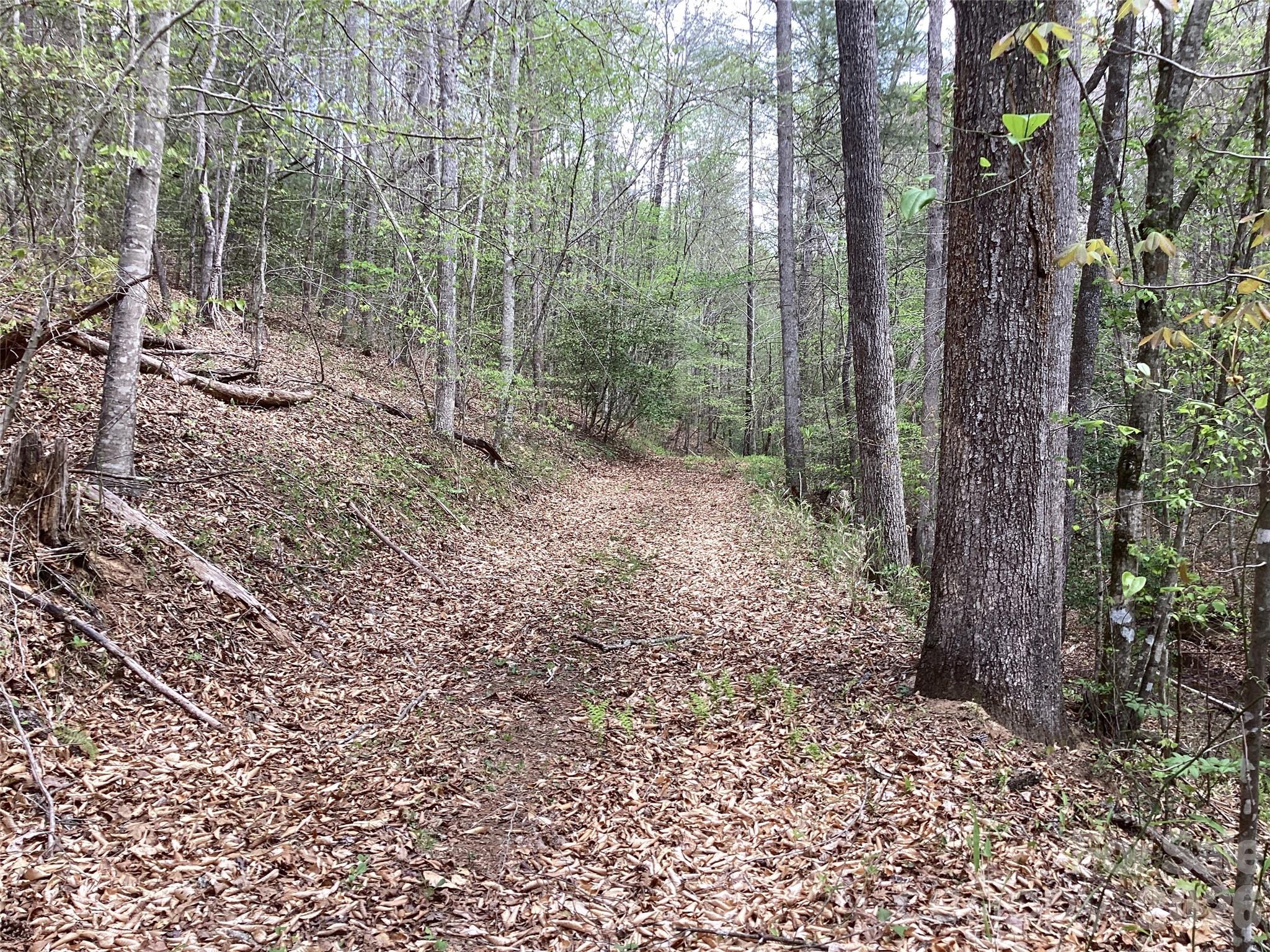 4017 Piney Road Morganton NC 28655