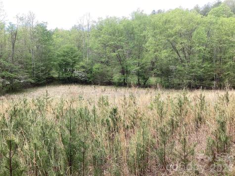 4017 Piney Road Morganton NC 28655